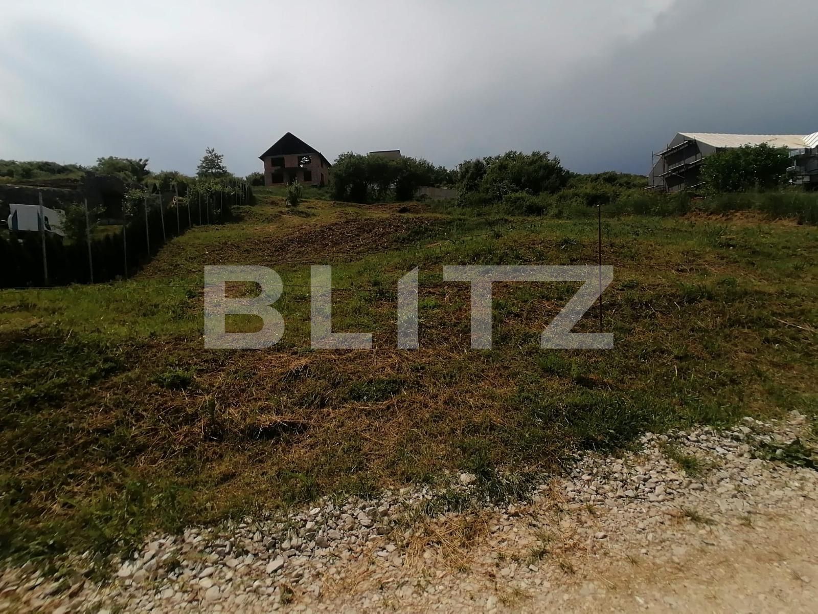 Teren de vânzare Cetate - 117546TV | BLITZ Alba Iulia | Poza2