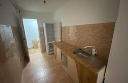 Apartament/spatiu comercial, 2 camere, 60mp, Bdul Transilvaniei