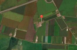 Teren intravilan, 41000 cu PUZ pentru hala,  zona  Alba-Sebes langa A1