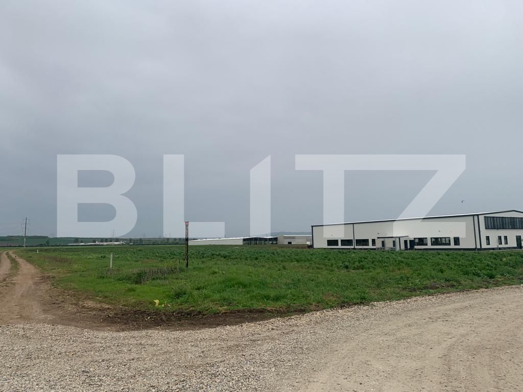 Teren de vânzare Exterior Sud - 117830TV | BLITZ Alba Iulia | Poza3