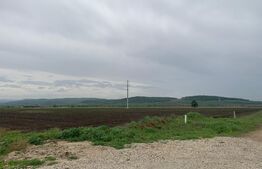 Teren intravilan, 6759 cu PUZ pentru hala, zona Alba-Sebes langa A1