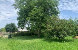 Teren intravilan, 555mp, zona Centru