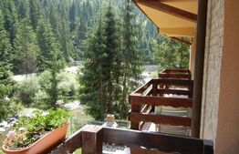 Afacere la cheie! Pensiune Munții Apuseni, zona Arieșeni