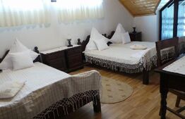 Afacere la cheie! Pensiune Munții Apuseni, zona Arieșeni