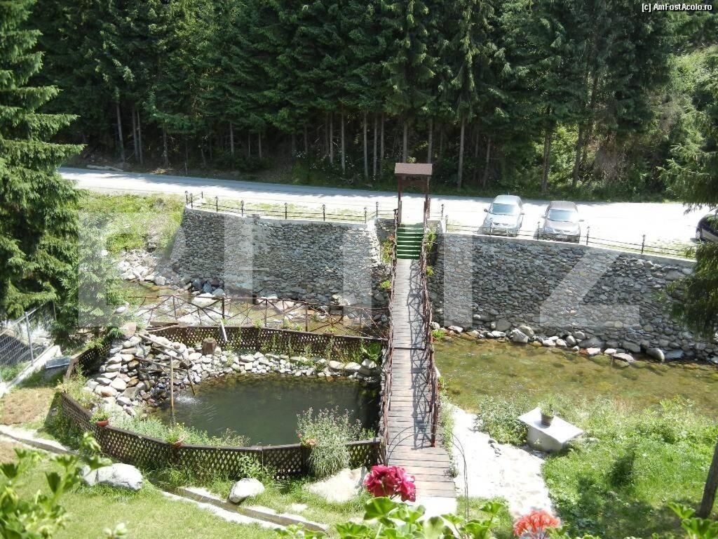 Spațiu comercial de vânzare Nord Vest - 118222SVC | BLITZ Alba Iulia | Poza3