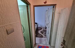 Apartament 2 camere, 52mp,  Cetate