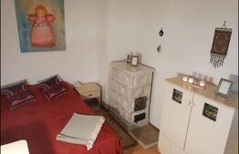 Casa de vancanta 3 camere baie si piscina in Benic