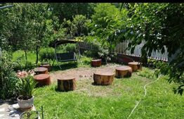 Casa de vancanta 3 camere baie si piscina in Benic