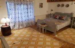 Casa de vancanta 3 camere baie si piscina in Benic