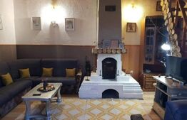 Casa de vancanta 3 camere baie si piscina in Benic