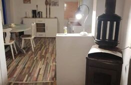 Casa de vancanta 3 camere baie si piscina in Benic