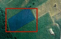 Teren intravilan, 4550mp, zona Parc Dendrologic