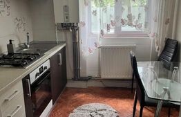 Apartament 2 camere, 50mp, mobilat si utilat, zona Cetate
