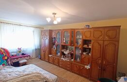 Apartament 2 camere, 55mp, renovat, zona Tolstoi