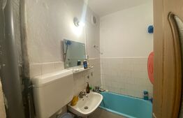 Garsoniera, 23mp, etaj 1, zona Cetate