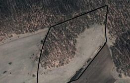 Teren Extravilan 5ha din care 2.5 padure si 2.5 arabil Zona Sard