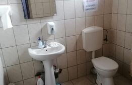 Spatiu comercial 56mp Cu vad excelent zona Stadion