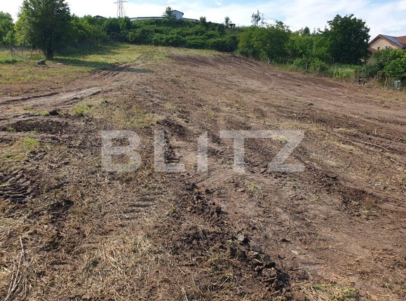 Teren de vânzare Cetate - 119645TV | BLITZ Alba Iulia | Poza3