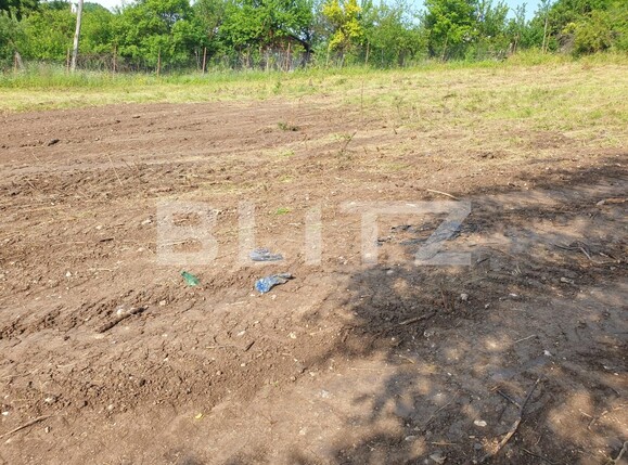 Teren de vânzare Cetate - 119645TV | BLITZ Alba Iulia | Poza7
