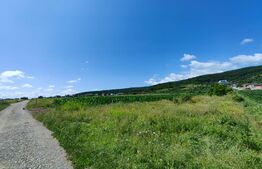 Teren intravilan, 4670 mp, zona Micești partea stanga