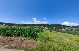 Teren intravilan, 4670 mp, zona Micești partea stanga