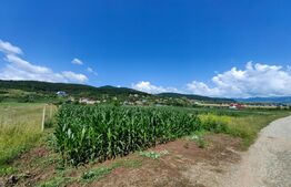 Teren intravilan, 4670 mp, zona Micești partea stanga