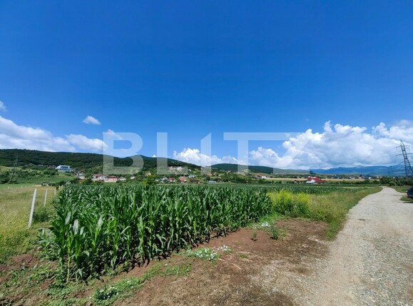 Teren de vânzare Micești - 119689TV | BLITZ Alba Iulia | Poza1