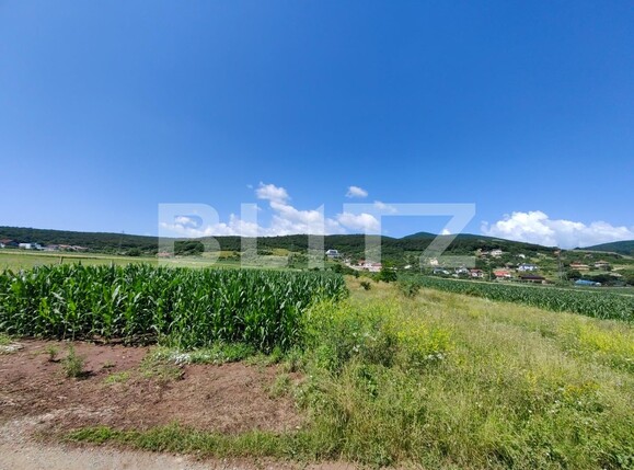 Teren de vânzare Micești - 119689TV | BLITZ Alba Iulia | Poza5