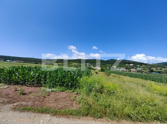 Teren de vânzare Micești - 119689TV | BLITZ Alba Iulia | Poza3