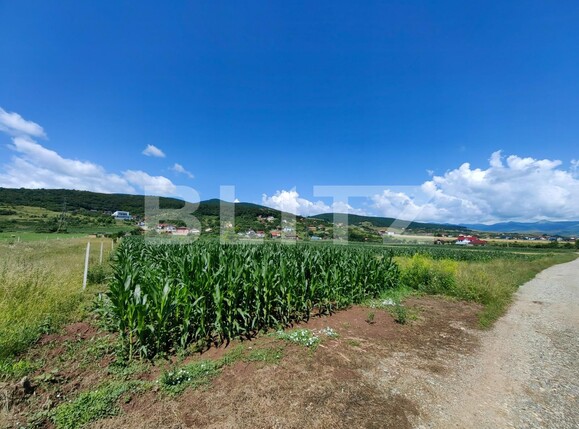 Teren de vânzare Micești - 119689TV | BLITZ Alba Iulia | Poza4