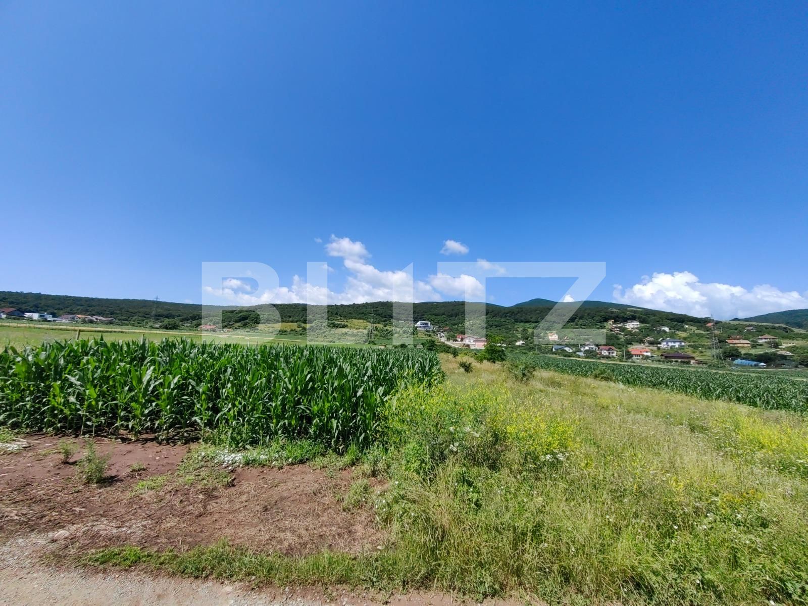 Teren de vânzare Micești - 119689TV | BLITZ Alba Iulia | Poza5