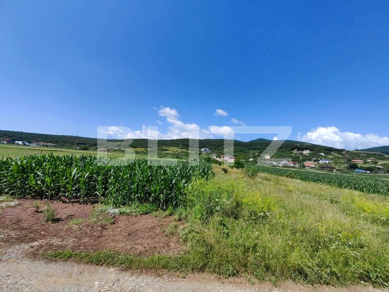 Teren de vânzare Micești - 119689TV | BLITZ Alba Iulia | Poza3