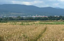 Teren intravilan/extravilan, 6400mp, Ciugud