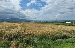 Teren intravilan/extravilan, 6400mp, Ciugud