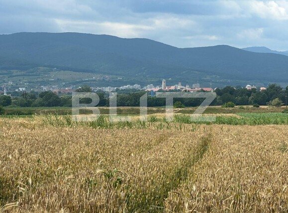 Teren de vânzare Sud Est - 119751TV | BLITZ Alba Iulia | Poza1