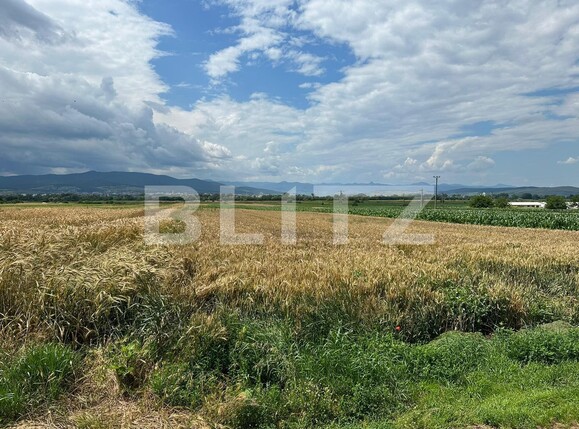 Teren de vânzare Sud Est - 119751TV | BLITZ Alba Iulia | Poza2