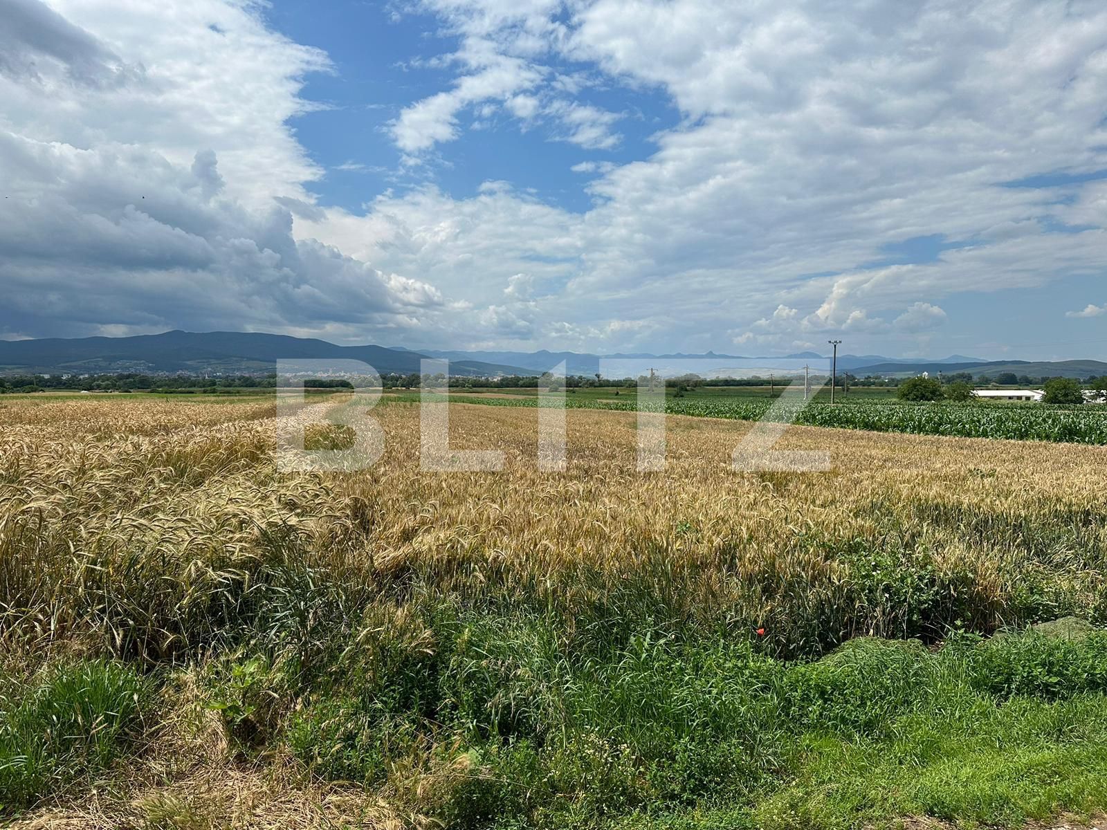Teren de vânzare Sud Est - 119751TV | BLITZ Alba Iulia | Poza2