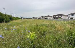 Teren intravilan, 7441mp, zona Lidl Cetate