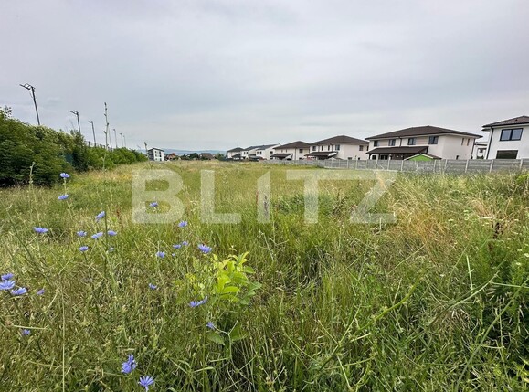 Teren de vânzare Cetate - 119752TV | BLITZ Alba Iulia | Poza2