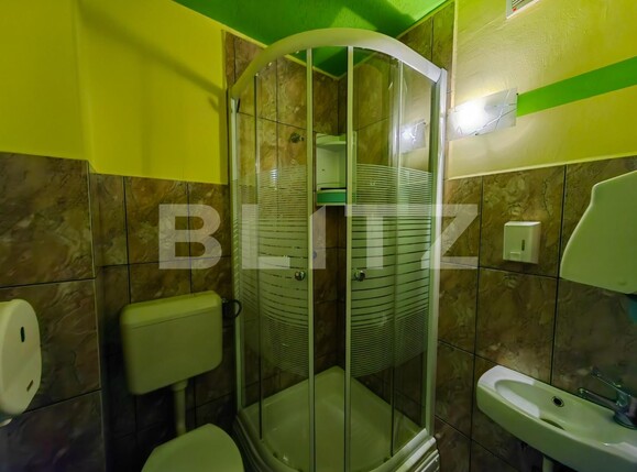 Spațiu comercial de vânzare Cetate - 120588SVC | BLITZ Alba Iulia | Poza13