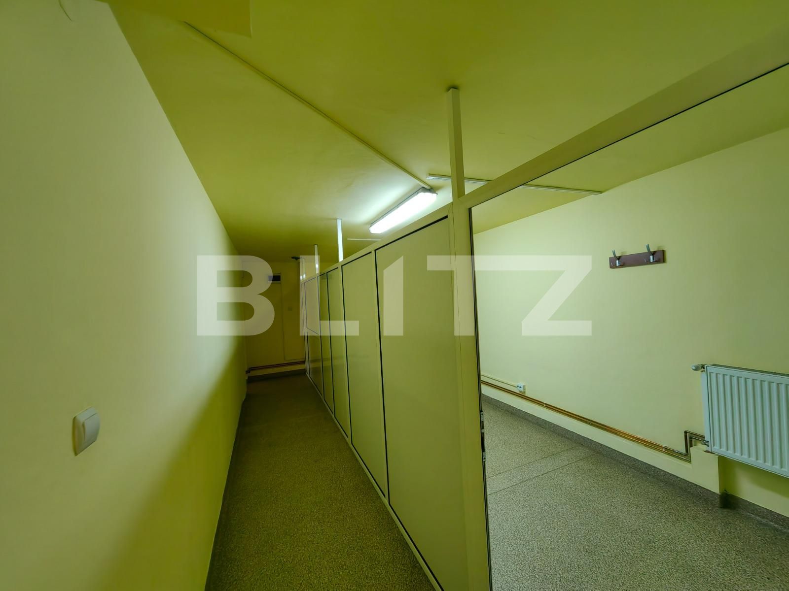 Spațiu comercial de vânzare Cetate - 120588SVC | BLITZ Alba Iulia | Poza11