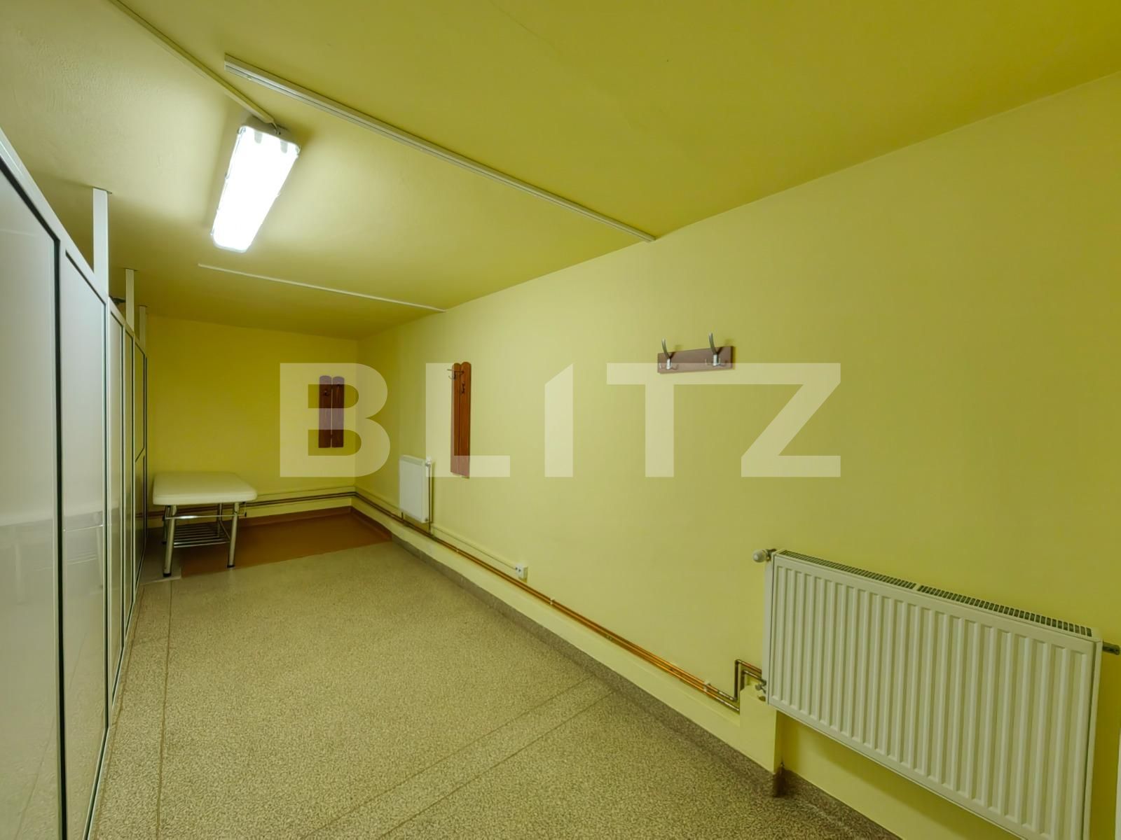 Spațiu comercial de vânzare Cetate - 120588SVC | BLITZ Alba Iulia | Poza10