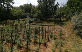 Casa 130 mp utili 7 camere 1 bucatarie 2 bai si gradina Zona  Cugir