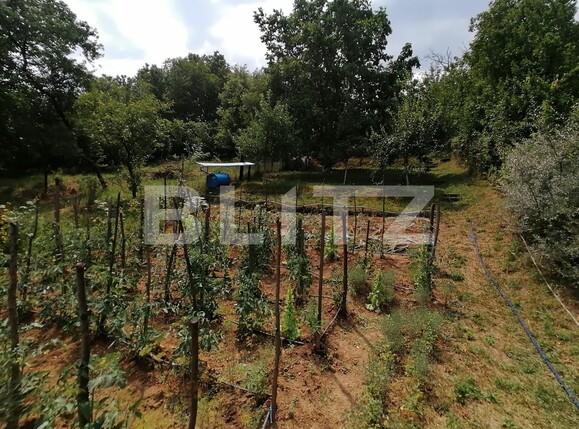 Casa de vânzare 7 camere Exterior Sud - 120689CV | BLITZ Alba Iulia | Poza16