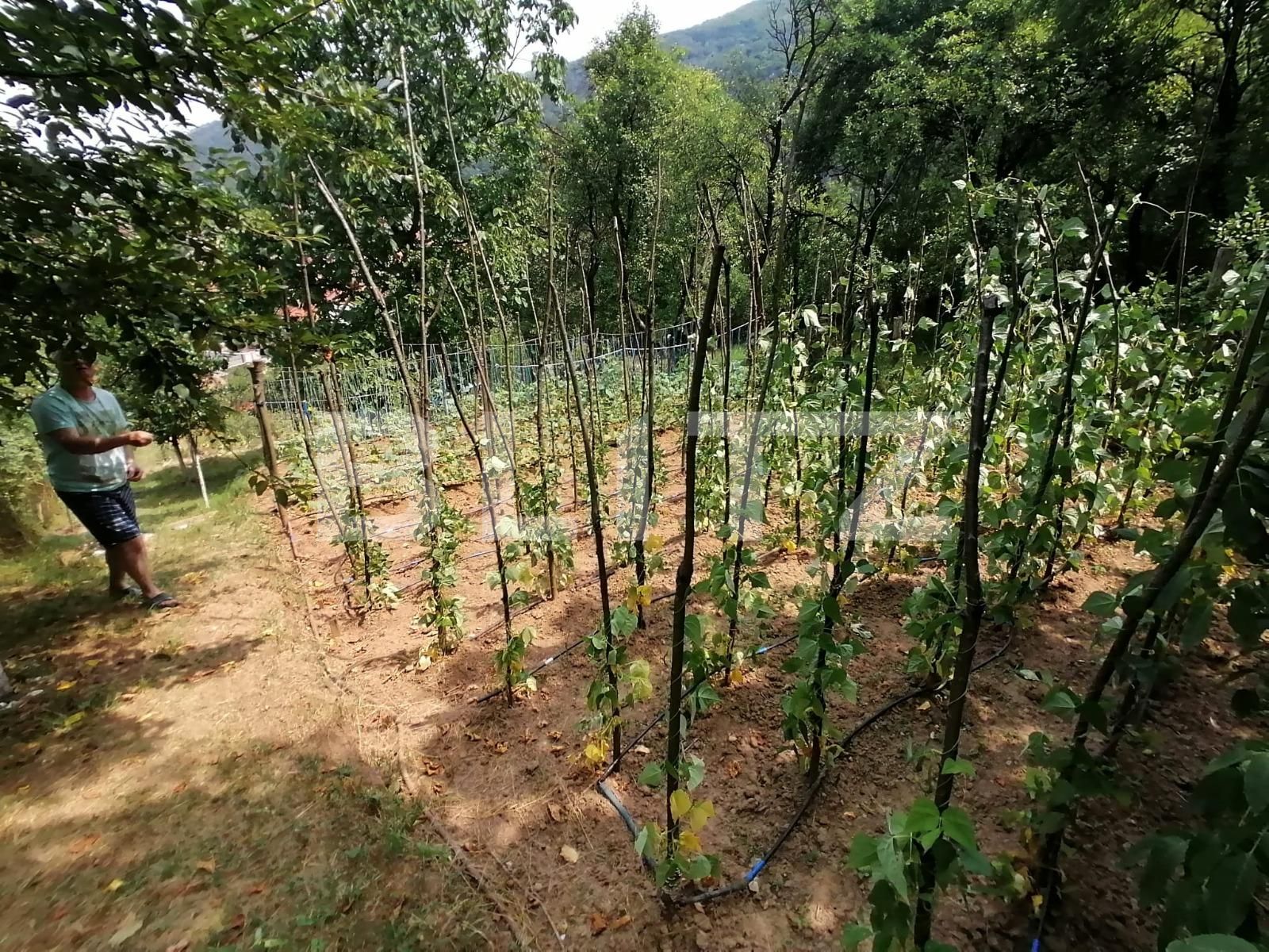 Casa de vânzare 7 camere Exterior Sud - 120689CV | BLITZ Alba Iulia | Poza13