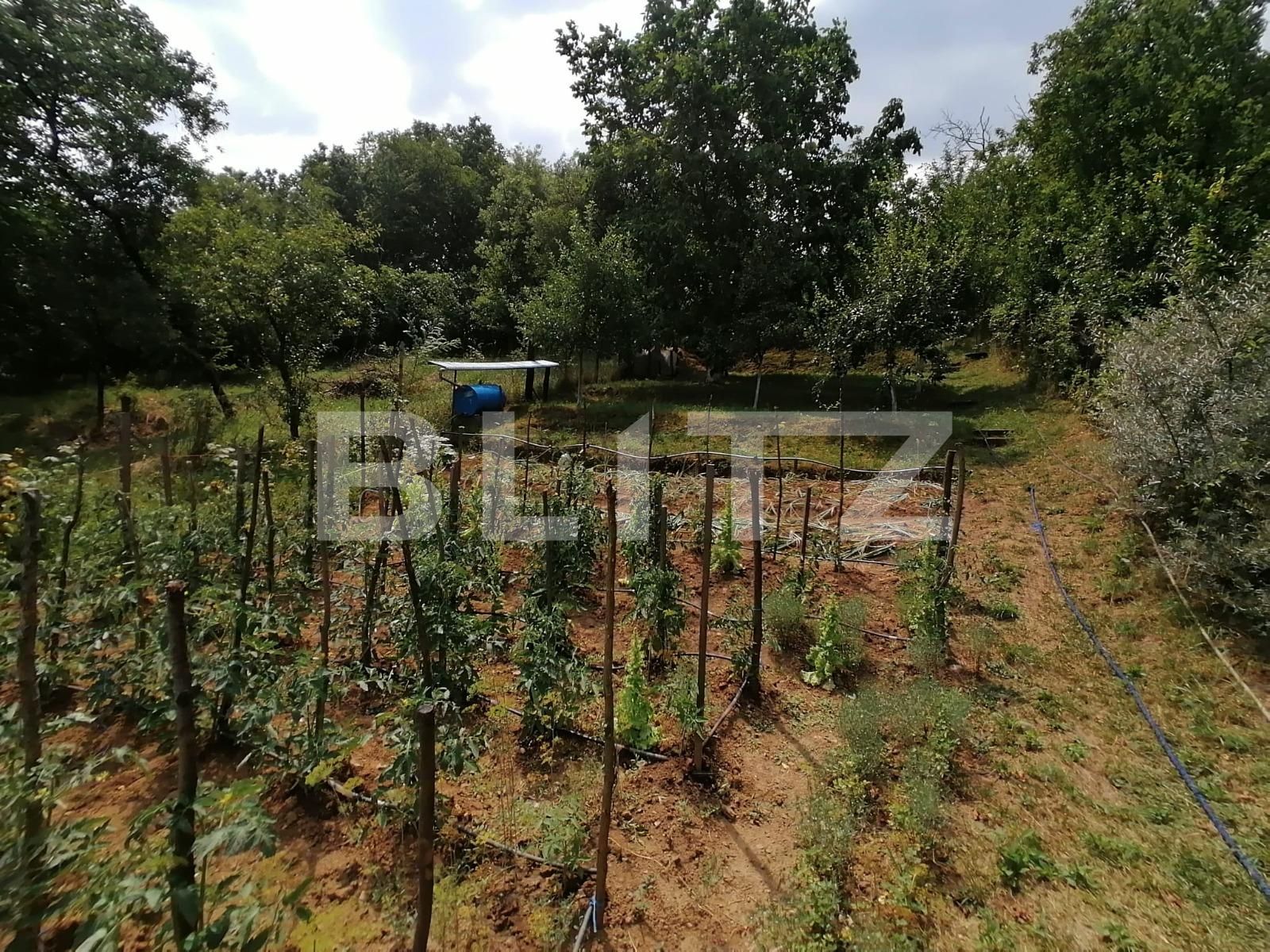 Casa de vânzare 7 camere Exterior Sud - 120689CV | BLITZ Alba Iulia | Poza16