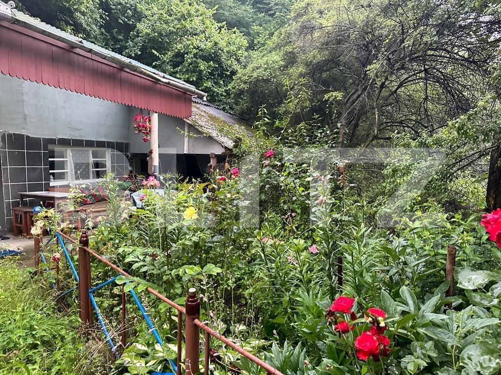 Casa de vânzare 4 camere Exterior Nord - 120742CV | BLITZ Alba Iulia | Poza5