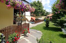 Casa 4 camere, 220 mp, Lipoveni