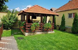 Casa 4 camere, 220 mp, Lipoveni