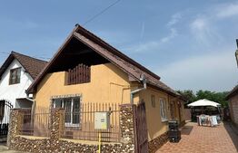 Casa individuala 85mp, 360mp teren in Vintu de Jos